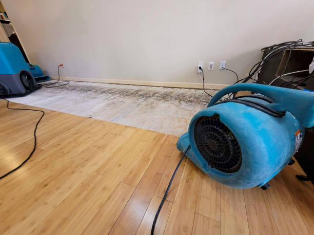 Professional Basement Flood Cleanup technician working in Sadieville, KY